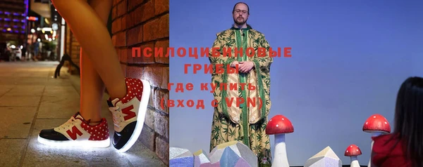 ГАЛЛЮЦИНОГЕННЫЕ ГРИБЫ Абдулино