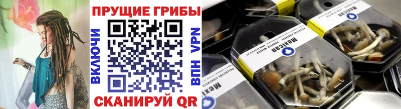 Галлюциногенные грибы GOLDEN TEACHER  наркошоп  Морозовск 